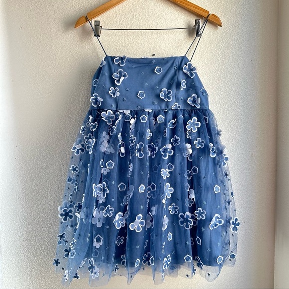 Trixxi | Mesh Organza Tulle Blue Floral Mini Dress - Picture 2 of 9